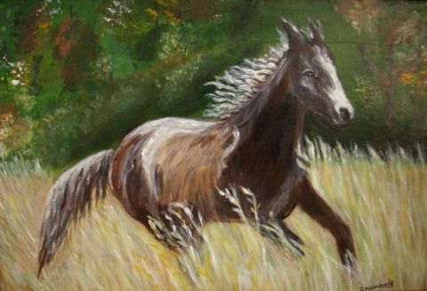 cheval en liberté